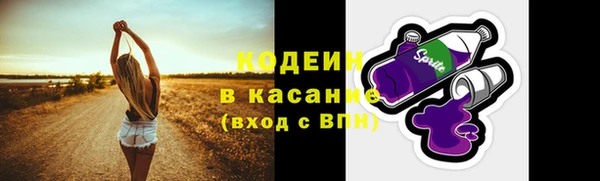 прущие грибы Абдулино