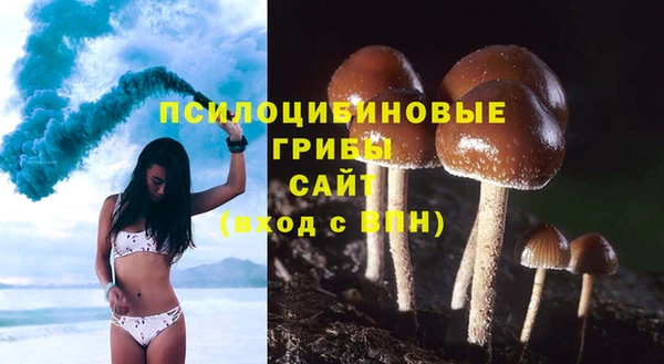 прущие грибы Абдулино